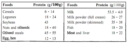 969_Define Important Food Sources of Protein.png